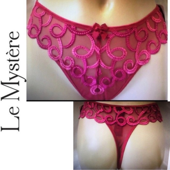 Le Mystere Rouge Nude Sheer Mesh Thong Panties - Picture 16 of 16